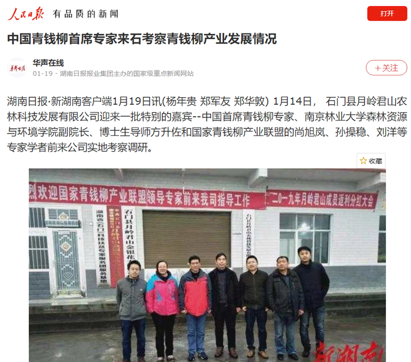 线上商城